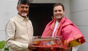 Chandrababu Naidu meets Rahul Gandhi, discusses firming up anti-BJP front