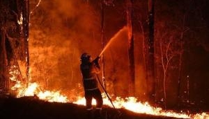 Australia Bushfires: Police charges at least 24 people for intentionally starting wildfire