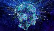 Study provides new insight into brain complexity