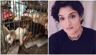Mentalhood actress Sandhya Mridul lashes out at China after wet market reopens, says 'khud ko kha jao yar'