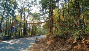 Now a bridge for snake, squirrel, monitor lizard on busy Kaladhungi-Nainital highway