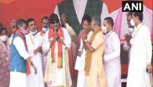 Mithun