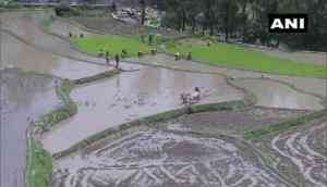 J-k_irrigation