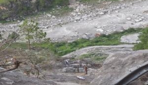 Nainital Landslide: How alert bus driver saved lives of 14 passengers