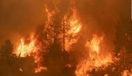 US: Over 1,600 firefighters battle new wildfire in northern California