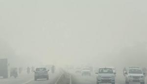 Weather update: Fog engulfs North India, visibility dips to zero in some places
