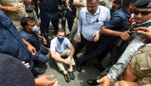 Rahul Gandhi sits on road in protest as Sonia Gandhi questioned by ED