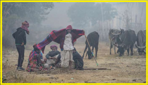 Weather Update: Mercury dips in Rajasthan, Fatehpur coldest at 3.8; check full forecast here