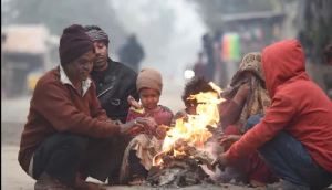 Weather Update: Cold wave grips north India; dense fog alert in Delhi, Rajasthan and Punjab; full forecast here