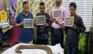 The ‘Miracle’ Snake: 4 men arrested in West Bengal for smuggling rare snake