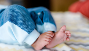 Shocking: Dog enters Rajasthan hospital, kills month-old infant