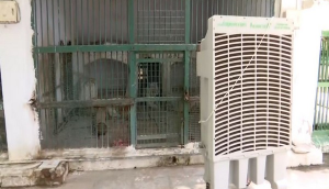 To beat rising temperatures, air coolers installed for animals at Ahmedabad Zoo